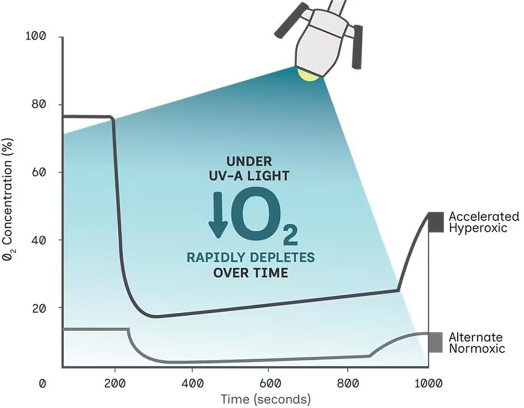 Diagram of the Stromal O2 Concentration under UV with the y-axis increasing the O2 concentration and the x-axis increasing in increments of 200 milliseconds. The over trend of the graph is to show, 'under UV-A light, O2 rapidly depletes over time'.